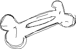 A bone sitting on the floor.
