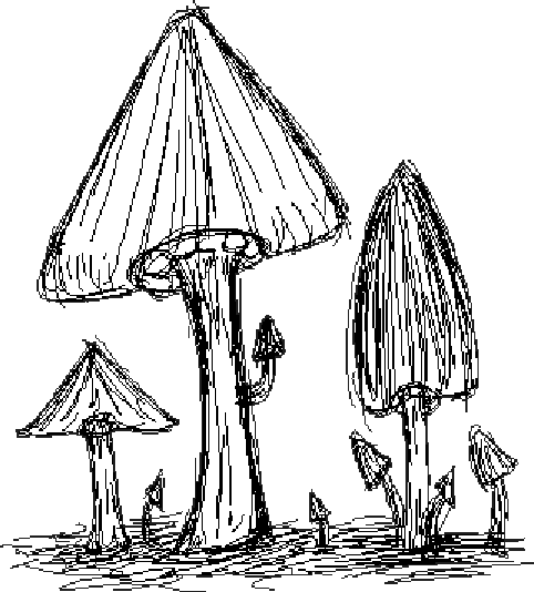 Some strangely large mushrooms growing. They shake as you touch them.